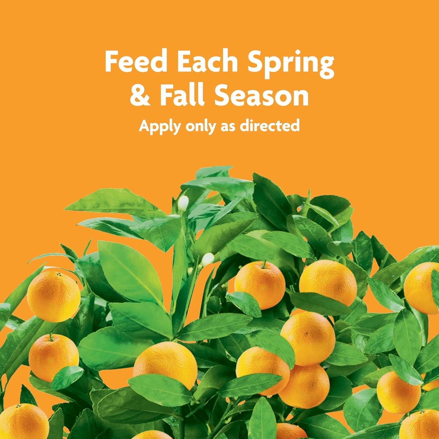 Miracle-Gro Fruit & Citrus Plant Food Spikes - Easy-To-Use Fertilizer for Healthy Trees | 12 Spikes, 3 lb.