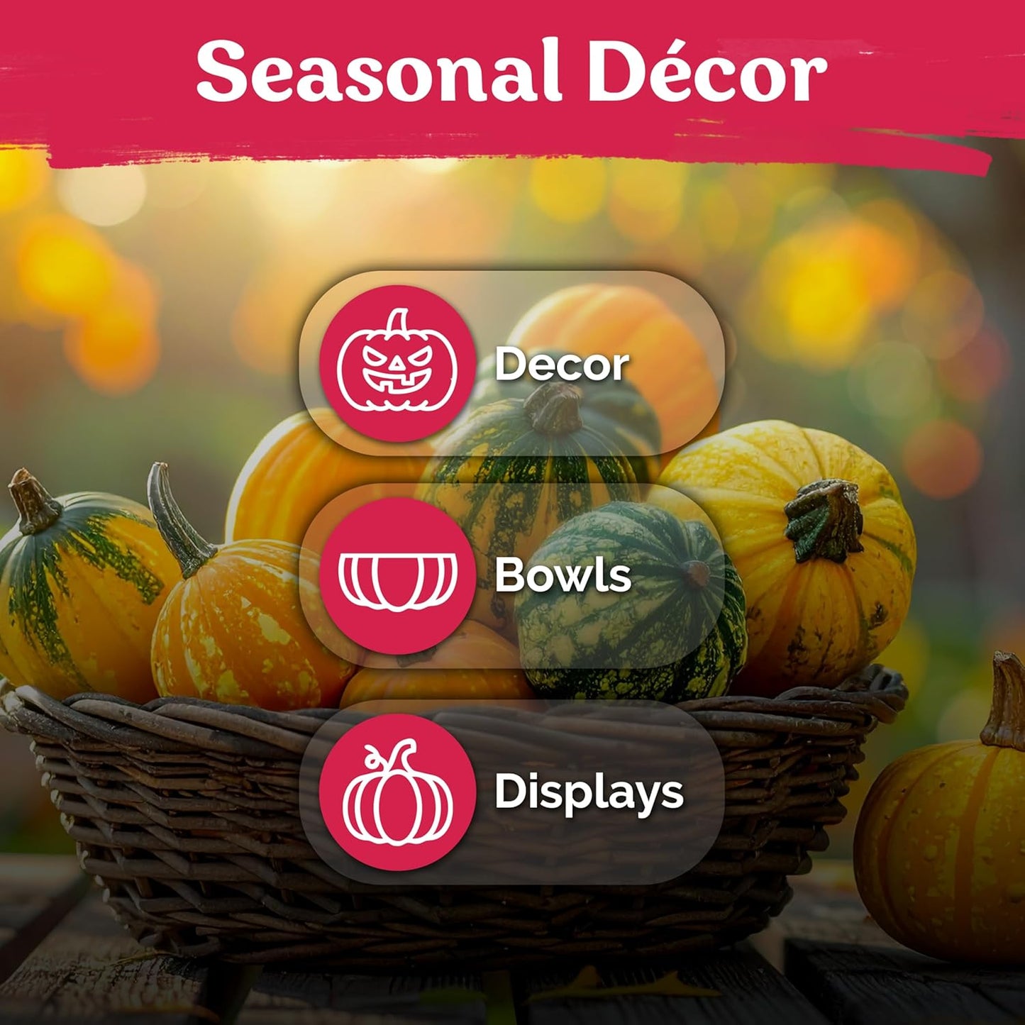KVITER 50 Small Gourd Seeds Mix - Non-GMO & Organic Decorative Gourds for Fall Decor | Heirloom Seeds