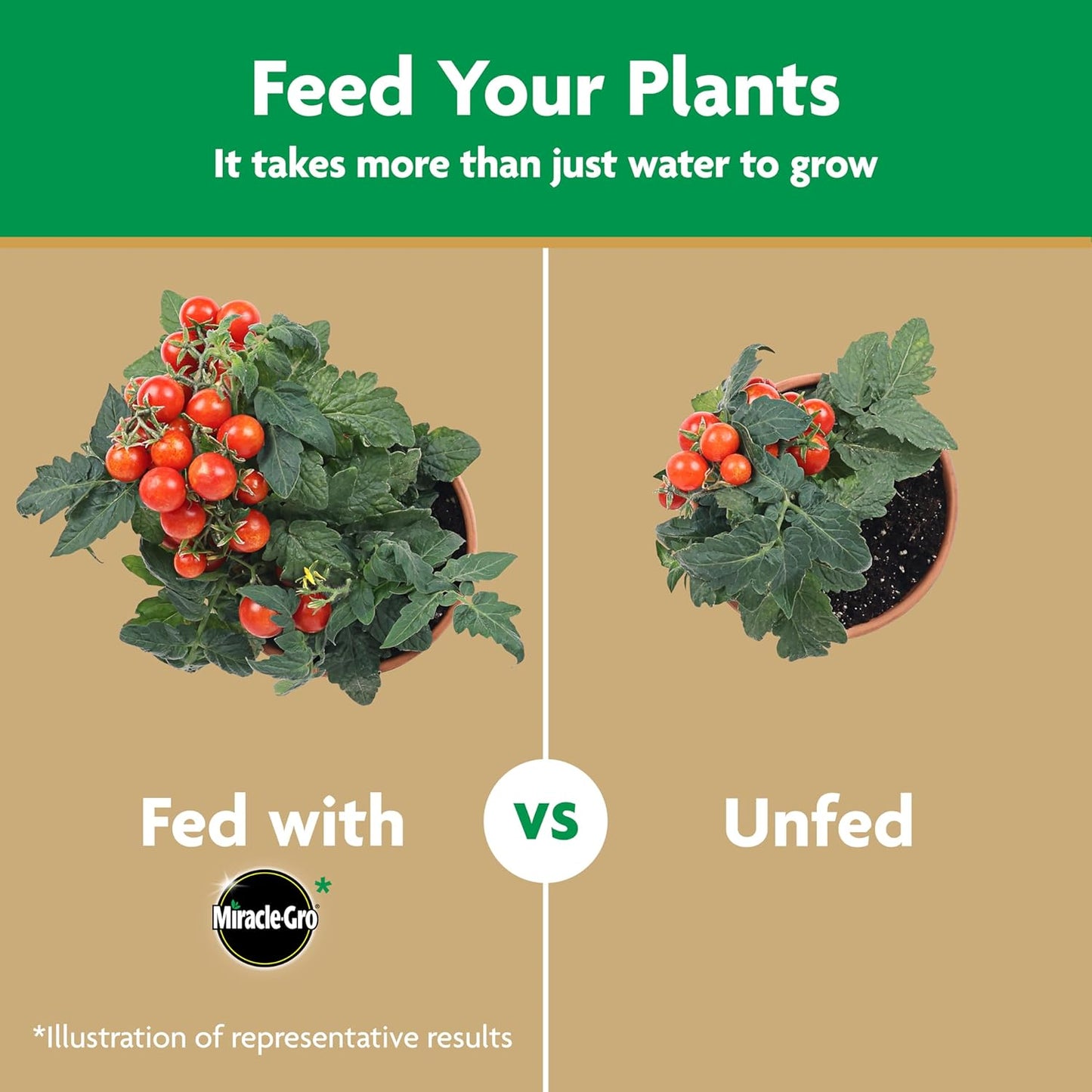 Miracle-Gro Tomato Plant Food - Water Soluble Formula for Thriving Plants | 1.5 lb Bag