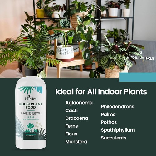 Houseplant Fertilizer by [Brand Name] - All-Purpose Indoor Plant Food, Makes 87+ Gallons, 16oz