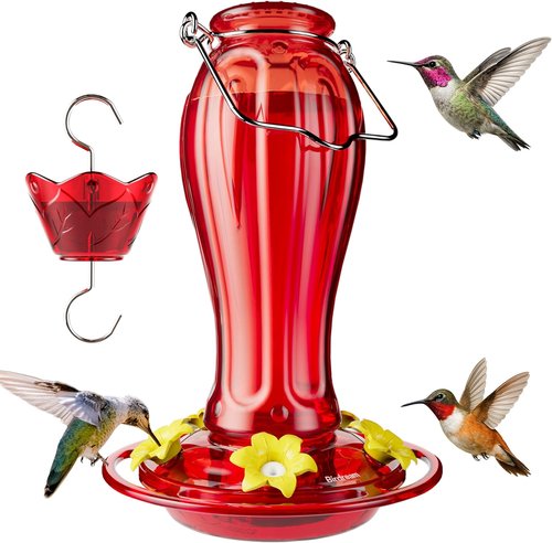 Birdream Hummingbird Feeder - 18oz Glass Design with 5 Feeding Ports & Ant Moat | Red Garden Decor