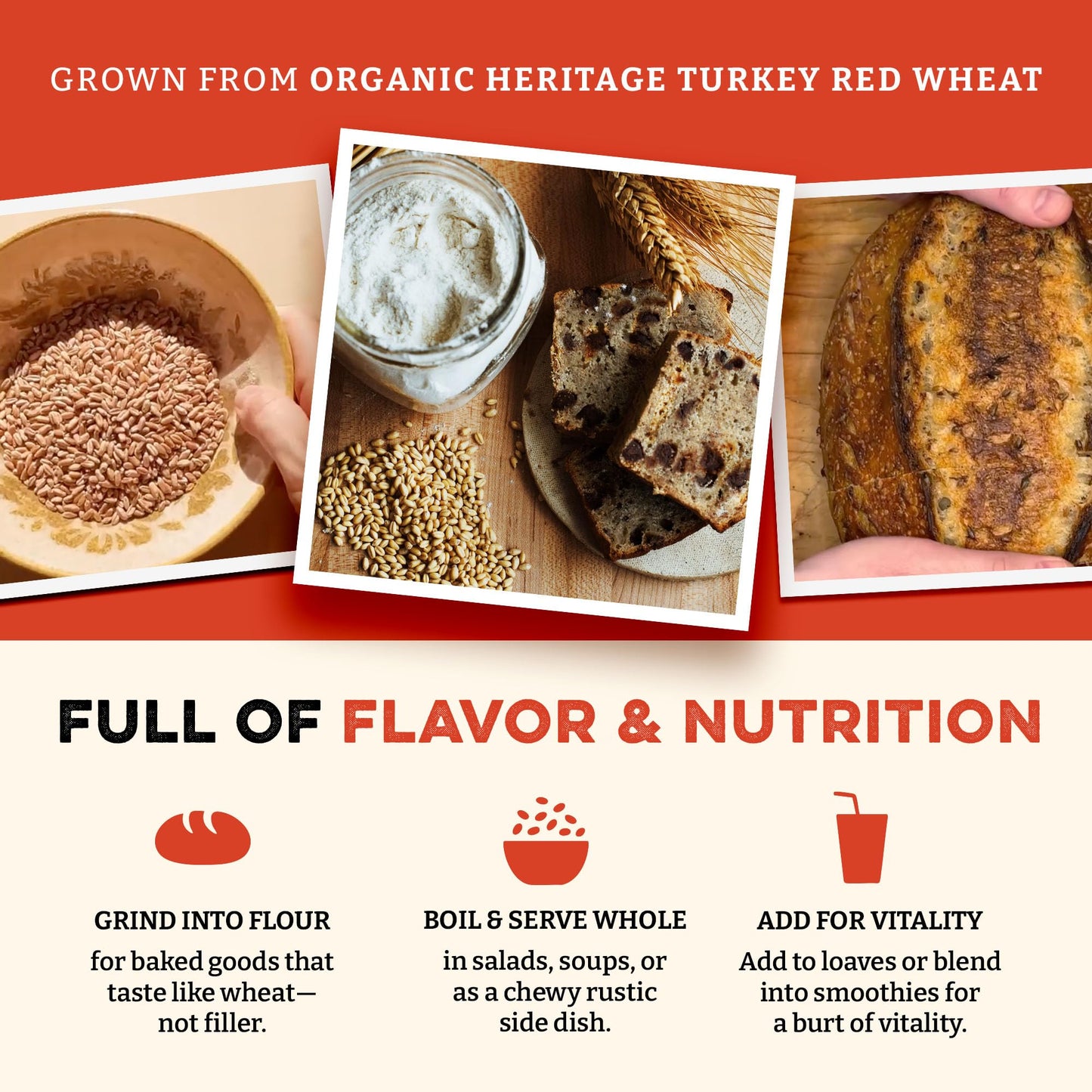Sunrise Flour Mill Heritage Hard Red Wheat Berries (Turkey Red) (80 Ounce (Pack of 1)) Certified Organic | Non-GMO | Unprocessed | Vegan | Kosher | Shelf-stable Whole Wheat Berries Organic