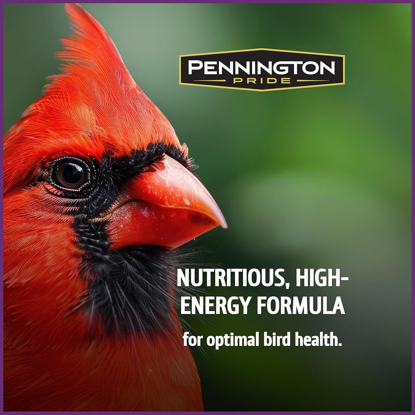 Pennington Pride Songbird Nut & Fruit Blend - Advanced Nutrition Wild Bird Seed, 10 lb Bag