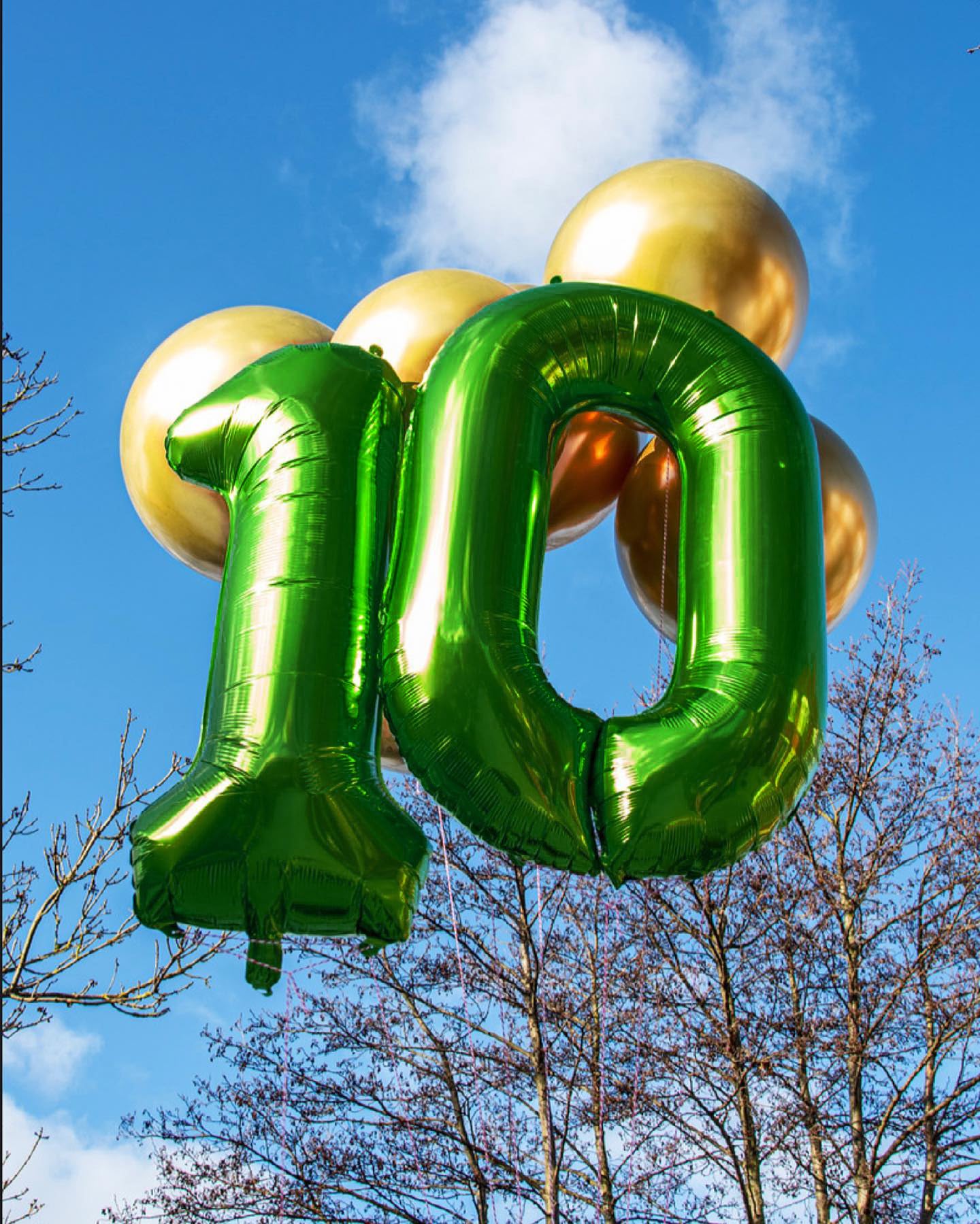 Dark Green Number 18 Balloon 40 Inch, 18th Birthday Party Decorations for Children, Giant 18 Foil Balloon for Party Supplies
