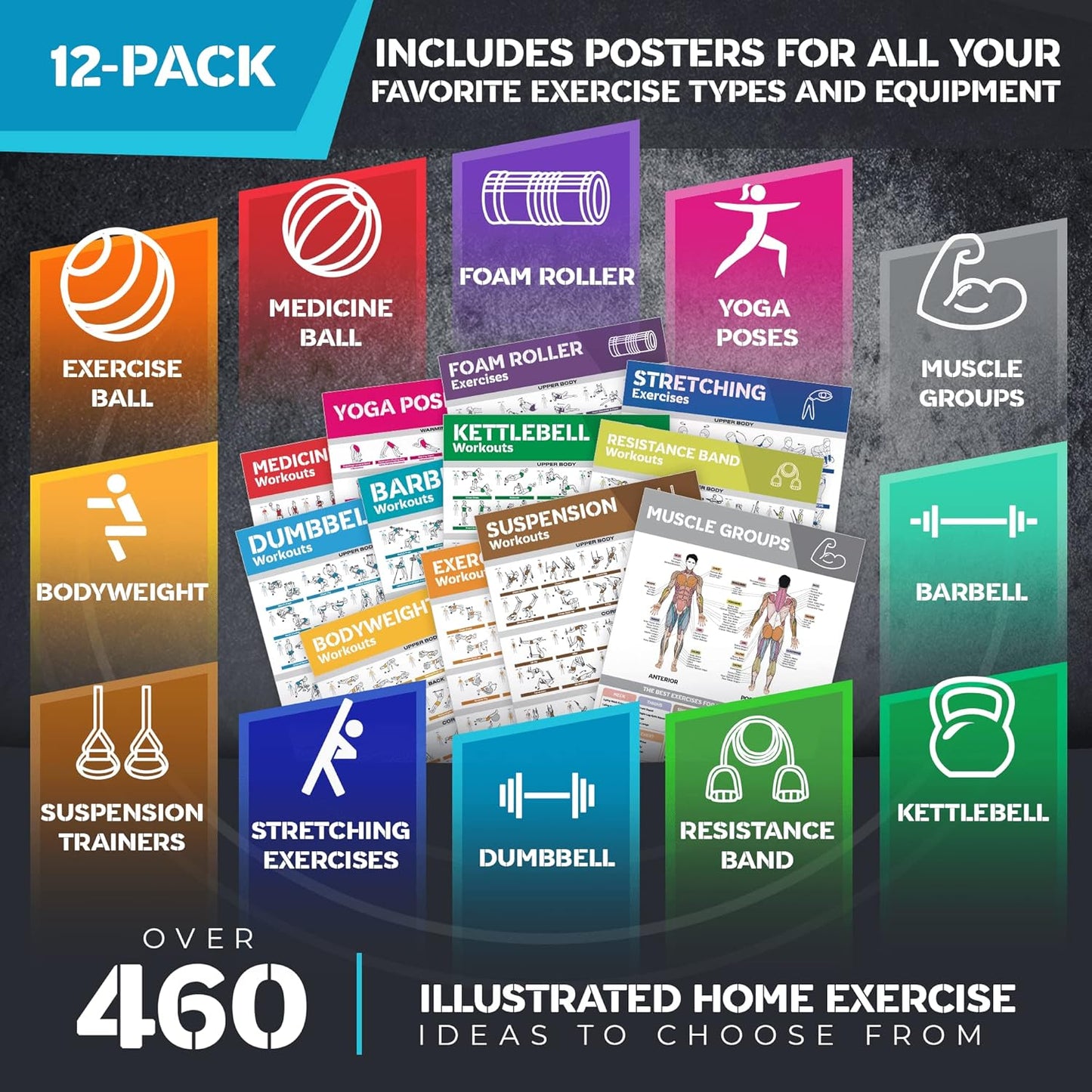 12-Pack Laminated Workout Posters by [Brand Name] - Essential Exercise Charts for Home Gym