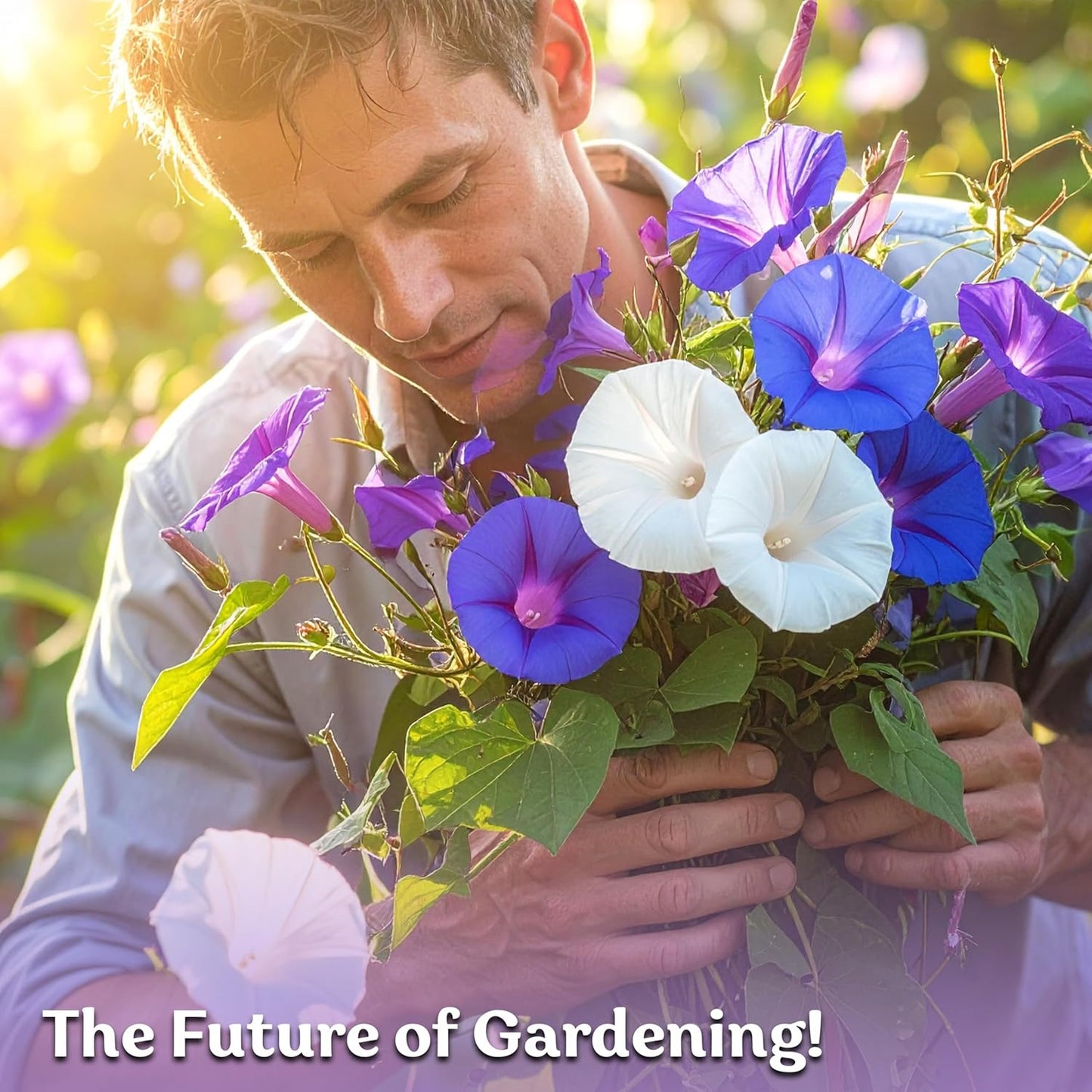 KVITER Morning Glory Seeds Mix - 50 Tall Climbing Flower Seeds for Home Garden & Outdoor Containers