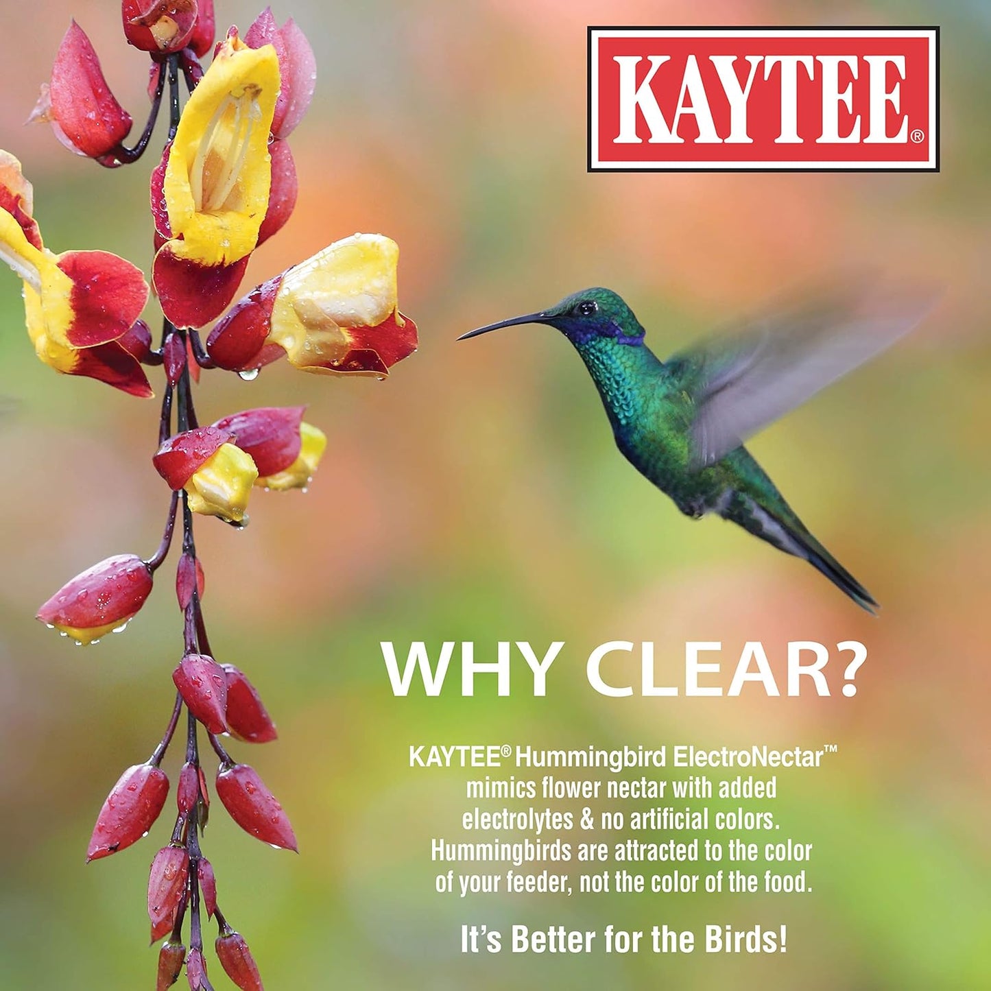 Kaytee Hummingbird ElectroNectar - Concentrated Wild Bird Food, 16 Ounces for Vibrant Hummingbirds