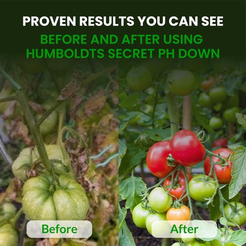 Humboldts Secret pH Down for Plants | Liquid pH Adjuster and Balancer for Soil Coco Hydroponics | Concentrated Phosphoric Acid Solution Supporting Nutrient Uptake and Strong Growth | 32 Ounce