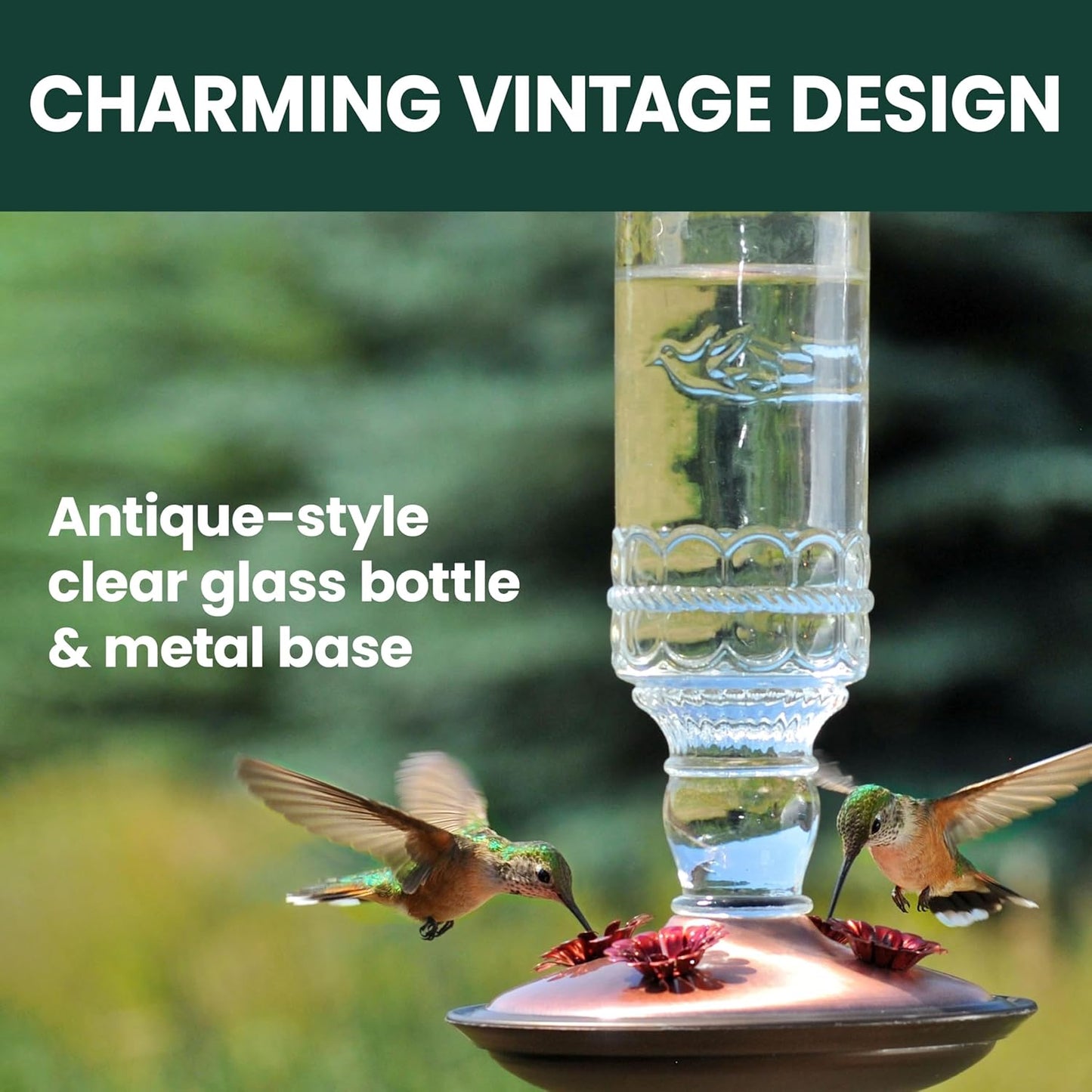 Perky-Pet Hummingbird Feeder - Antique Glass Bottle Design | 10 Fl Oz Nectar Capacity - Durable Outdoor Décor