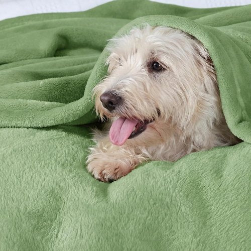 Bedsure GentleSoft Fleece Blanket - Plush Cozy Twin Size Green 300GSM for Bed, Sofa, Travel | 60x80 Inches