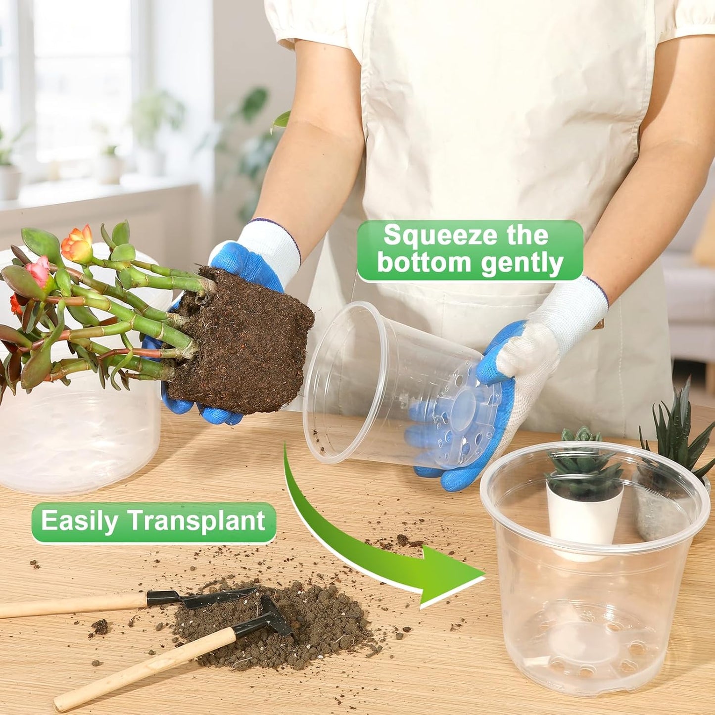 Skiennix Large Clear Nursery Pots - 10/8/6/5 Inch with Drainage Holes | 16 Pack Plastic Plant Pots for Succulents and Seedlings