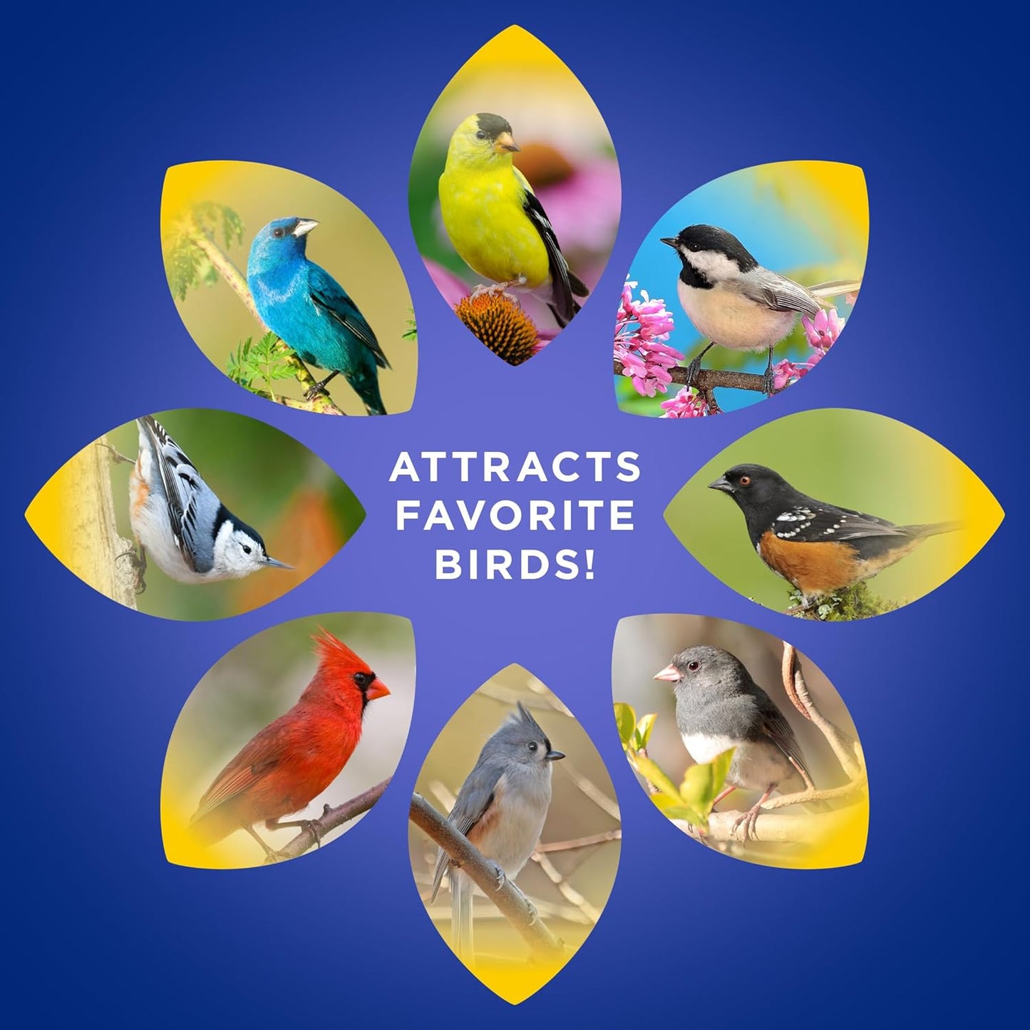 Audubon Park Wild Bird Seed - Extreme Variety Blend for Outdoor Feeders | 15 lb Bag