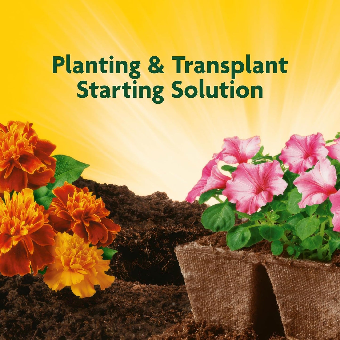 Miracle-Gro Quick Start Liquid Fertilizer - Ideal for Seedlings & Transplants, 48 Fl. Oz.
