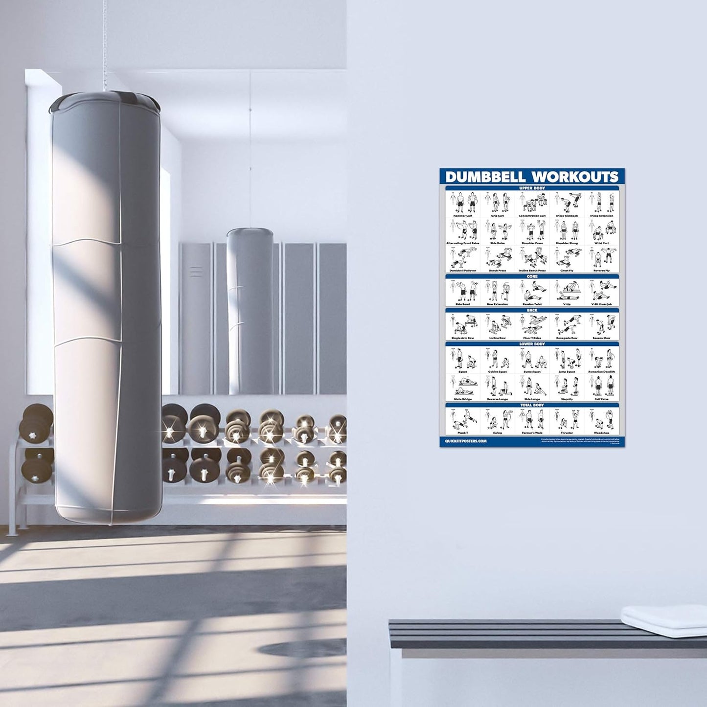 Palace Learning Dumbbell Workout Poster - Laminated Home Gym Guide | 18" x 24" Size