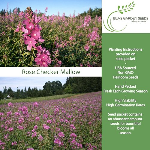 Isla's Garden Seeds Rose Checker Mallow Seeds - 25+ Heirloom Non-GMO Seeds for Hardy Perennial Blooms