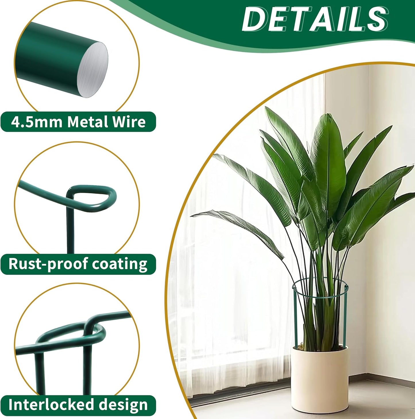 TCBWFY Plant Support Stakes - Heavy Duty 10-Pack Metal Cages for Peony | 10" Wide x 24" High