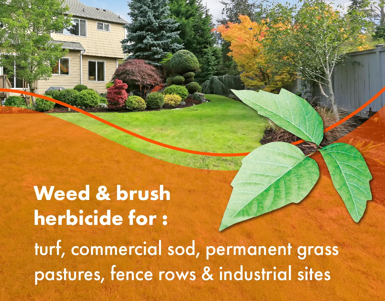 Pro Brush Poison Ivy Killer - 32oz Concentrated Herbicide for Woody Plants & Tough Weeds