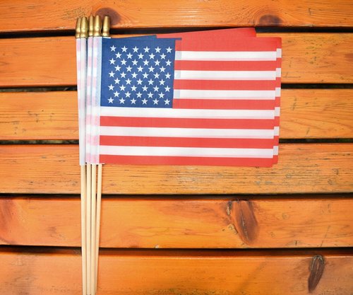 Ckexin 25Pack Small American Flag Mini Usa Flag On Stick Handheld Us Flag For July 4th Decoration