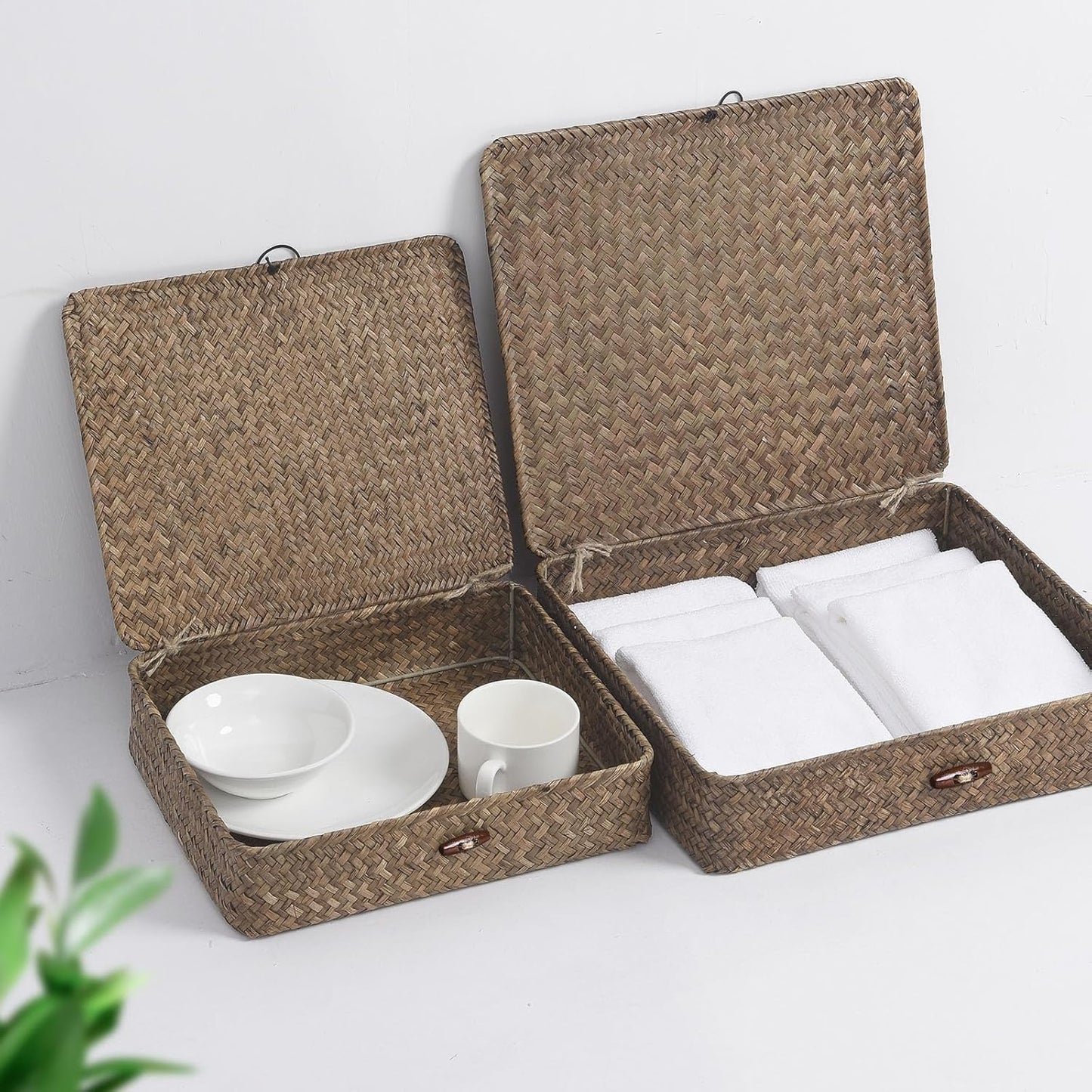 Skiennix Set of 2 Flat Seagrass Storage Bins - Woven Baskets with Lids for Home & Office Organization | Coffee Color