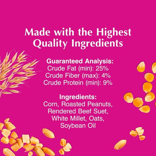 C&S High Energy Delight Suet Cakes - No Melt Formula for Wild Birds | 8-Pack for Woodpeckers & More