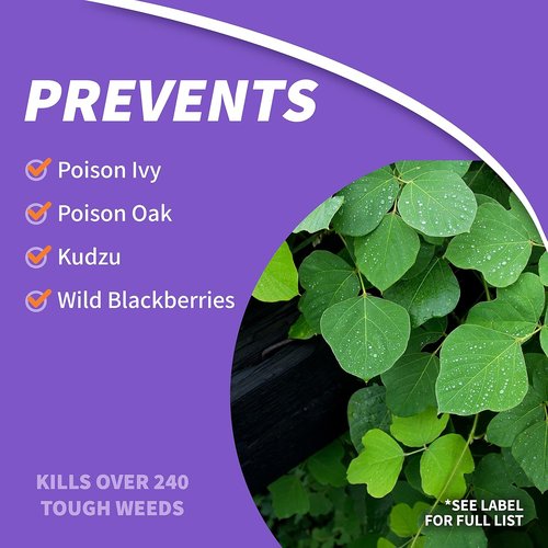 Bonide Poison Ivy & Brush Killer - 32 oz Concentrate | Effectively Eliminates Roots Without Damaging Lawn