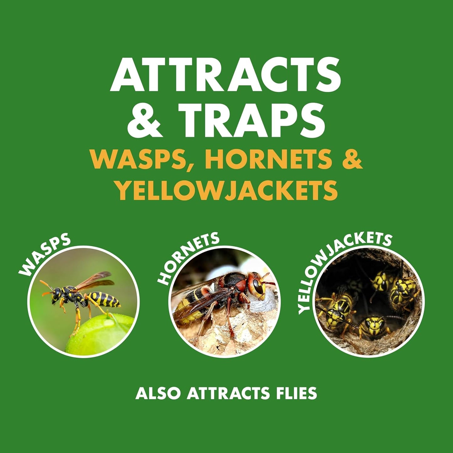 Spectracide Wasp & Hornet Trap - Quick-Drown Formula for Effective Insect Control | 1 Count