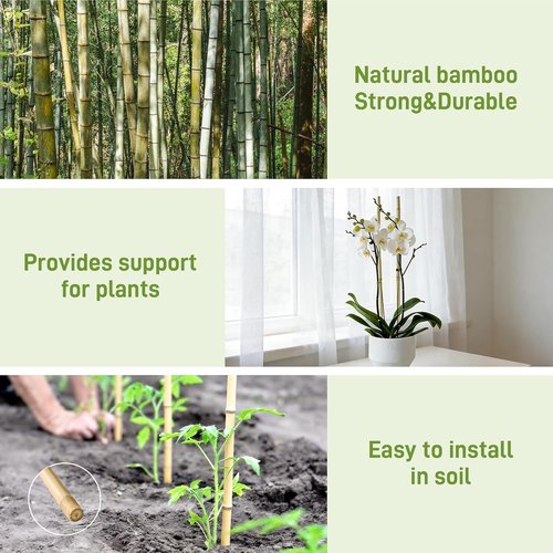 Bamboo Garden Stakes by [Brand Name] - 50 Pcs Natural 16-Inch Plant Support Poles for Indoor/Outdoor Use