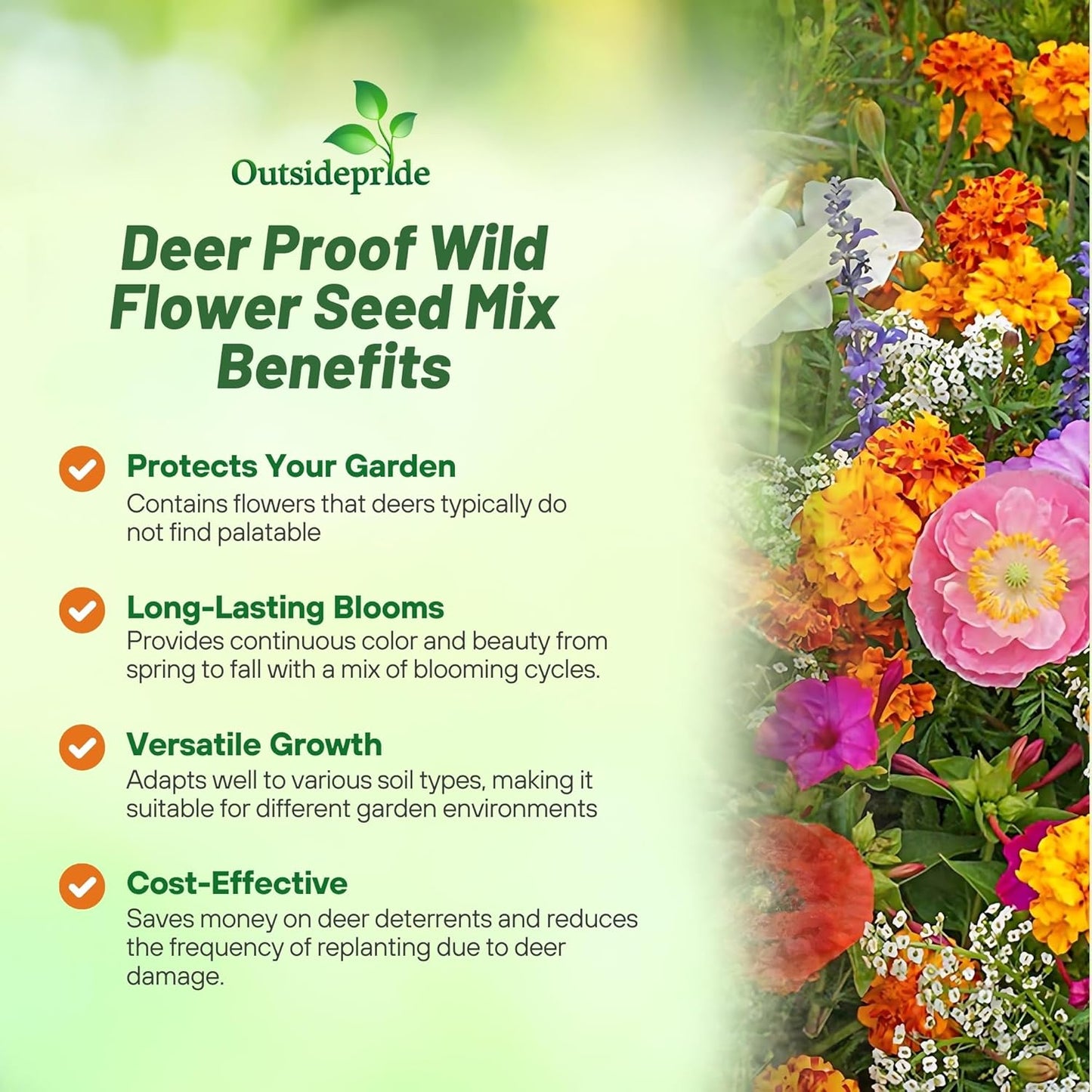 Outsidepride Deer Proof Wildflower Seed Mix - 1 lb. Colorful, Drought-Tolerant Blend for a Vibrant, Pollinator-Friendly Garden