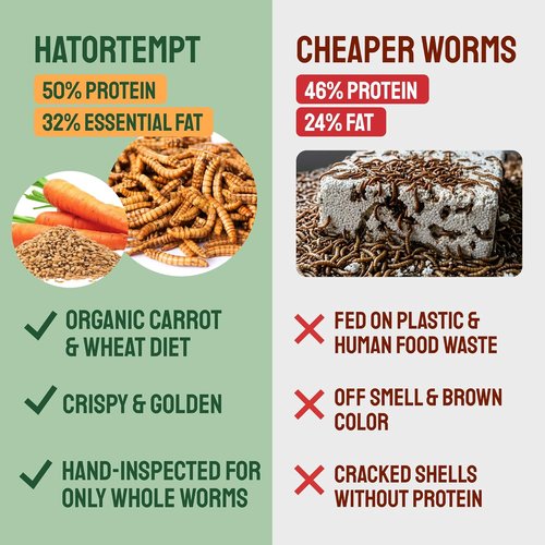 Hatortempt Dried Mealworms - 10 Lb Non-GMO Bulk Feed for Chickens, Ducks & Wild Birds - High-Protein Nutrition