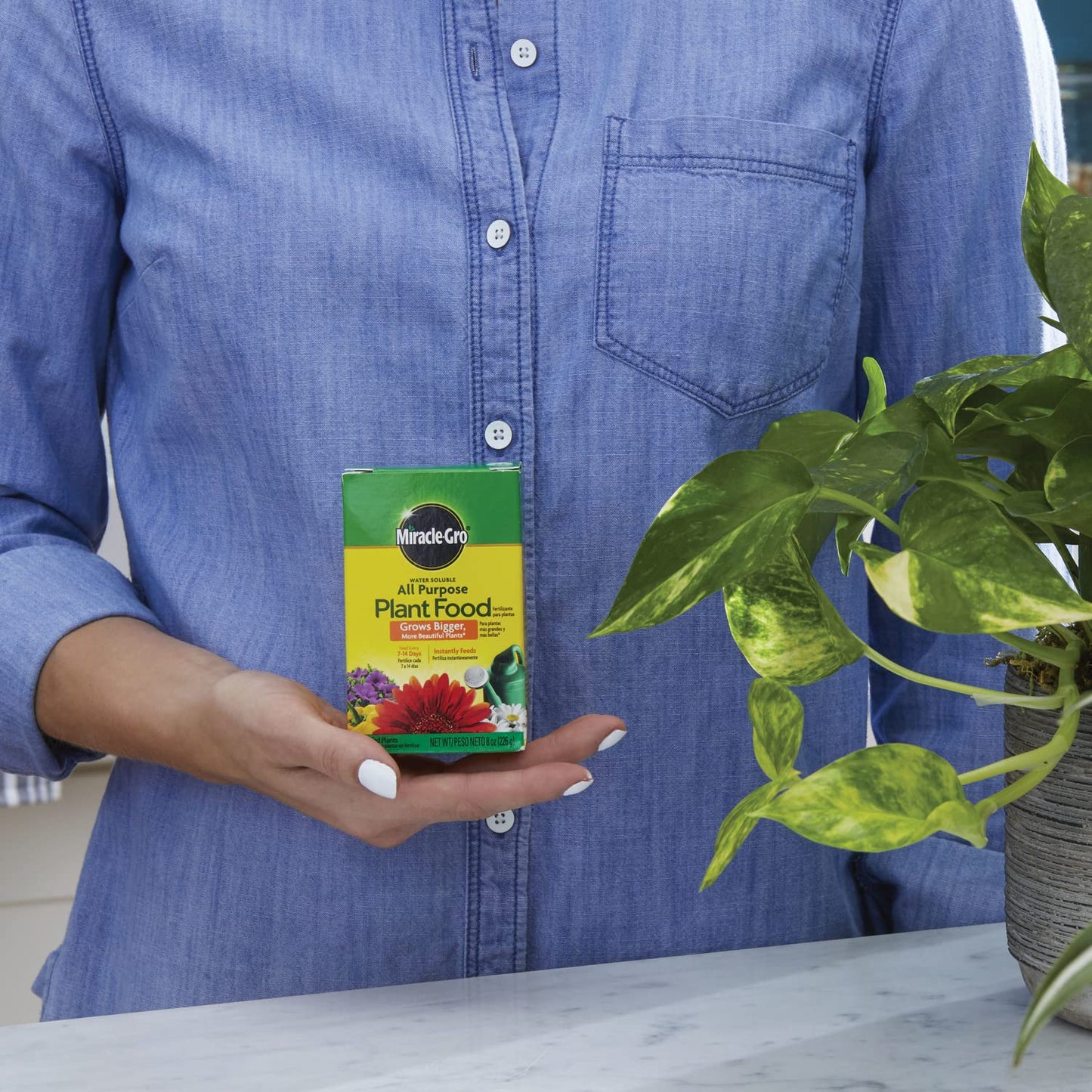 Miracle-Gro All-Purpose Plant Food - Water Soluble Fertilizer for Indoor/Outdoor Plants, 8 oz.