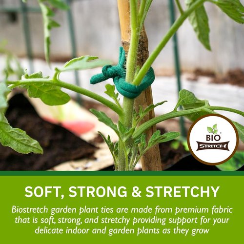 Bio-Stretch Garden Plant Ties - Strong, Stretchy Cut-to-Length Tape for Climbing Plants | 65 ft (20M)