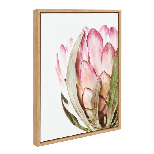 Kate and Laurel Sylvie Pink Protea Flower Framed Canvas Wall Art by Amy Peterson Art Studio; 18x24 Natural; Gorgeous Floral Accent for Wall