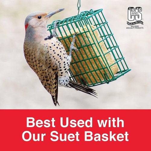 C&S Berry Delight No-Melt Suet Dough - 11.75 oz | Perfect For Attracting Wild Birds