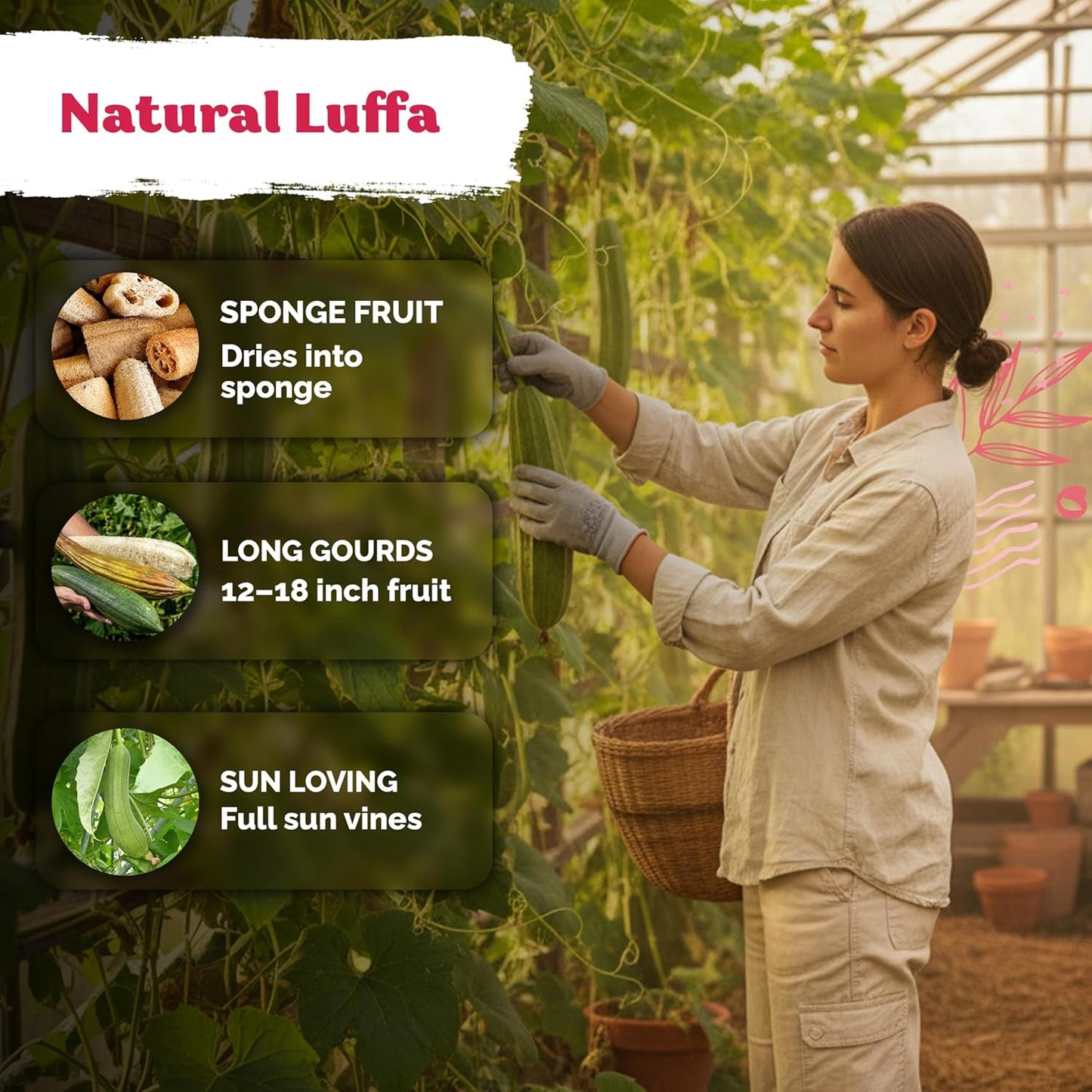 KVITER Luffa Seeds - Organic Heirloom Loofah Sponge Gourd Seeds for Home Gardening | 40 Count