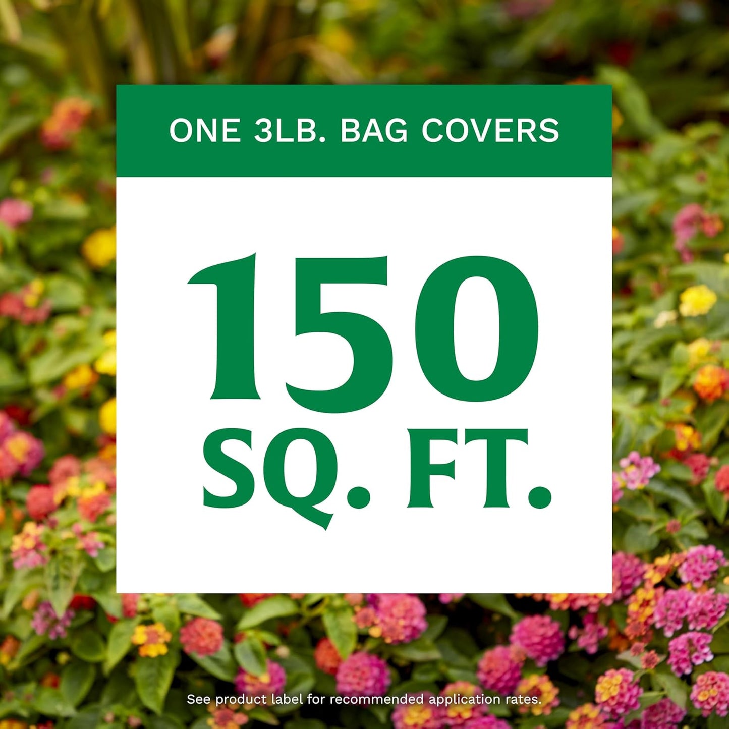 Scotts All-Purpose Plant Food - Continuous Release Formula for Outdoor Flowers & Vegetables | 3 lb