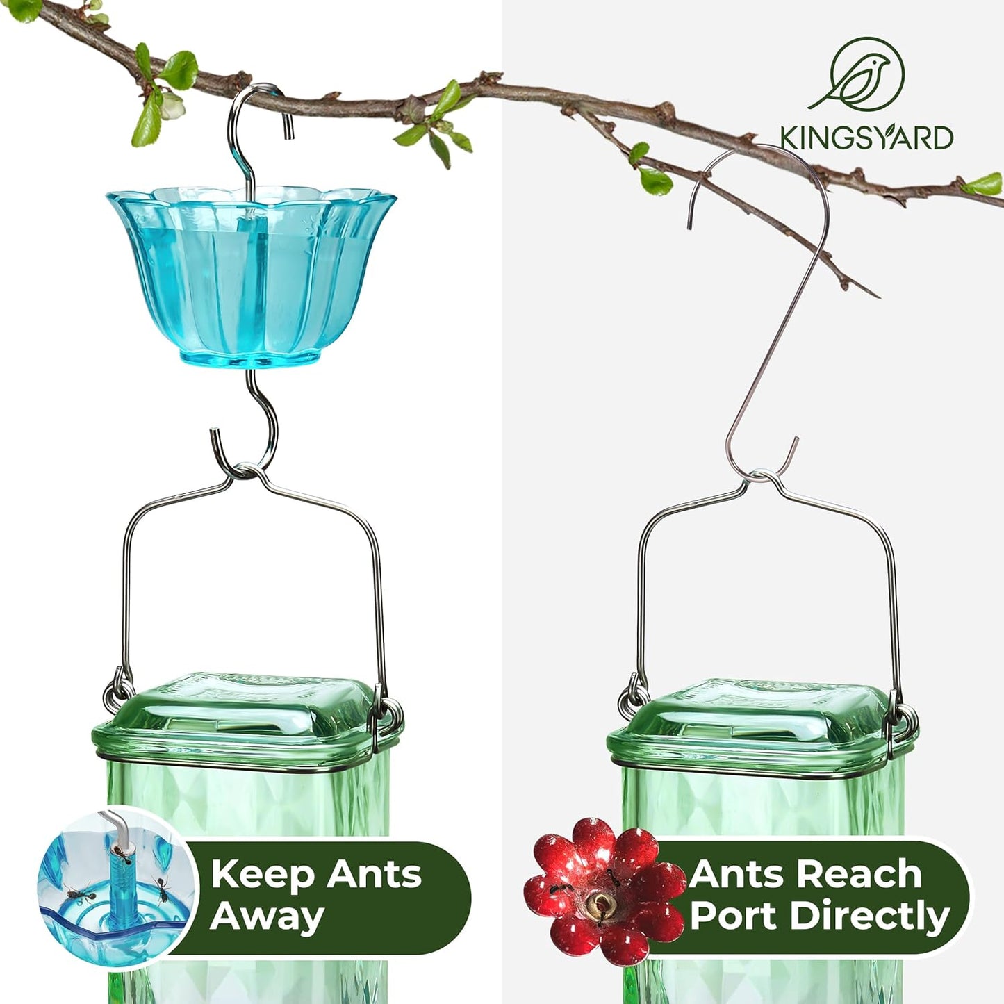 Kingsyard Hummingbird Feeder - 24 Ounce Outdoor Glass Nectar Feeder with 6 Ports & Ant Moat | Green & Blue