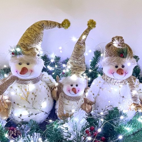 Etinga 10 Pack Fairy Lights Battery Operated String Lights, 10 LED on 3.3ft Silvery Copper Wire，for Flowers Gift Box Wedding Party Christmas Decoration (10 Pack, Cool White)