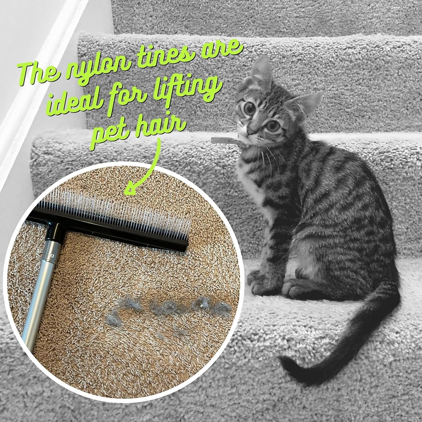 Room Groom Carpet Rake Set (Original and PET) Telescoping 54" Adjustable Handle, Portable Design, Carpet Brush for Pet Hair, Refreshing High Pile Carpets and Artificial Turf, (Pack of 2)