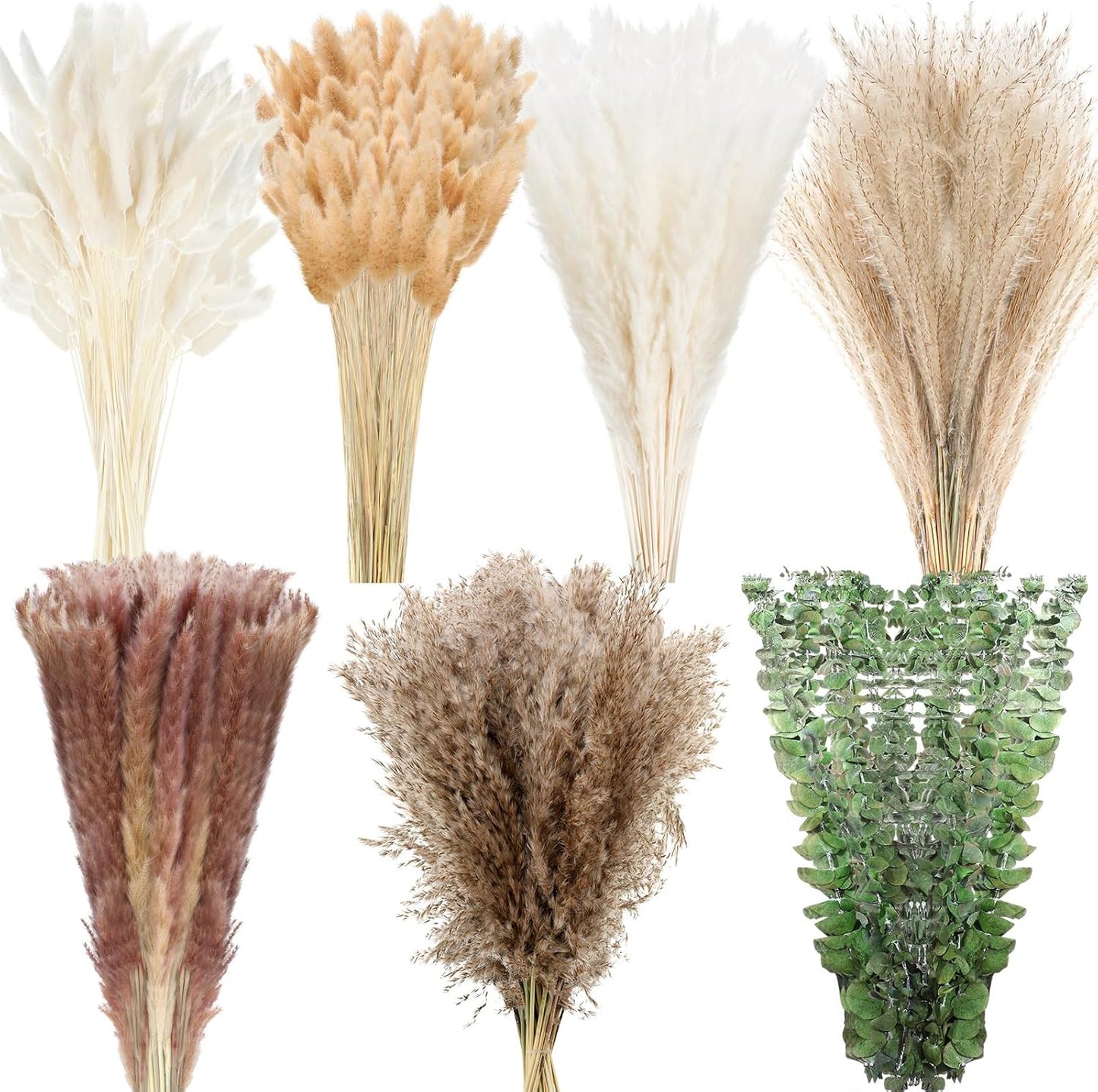 Treela 650 Pcs Dried Pampas Grass Decor Bulk 17" Dried Bunny Tail Fluffy Pompous Pampas Natural Reed Grass Bouquet Wedding Boho Dried Flowers for Home Table Party Decor(Stylish)