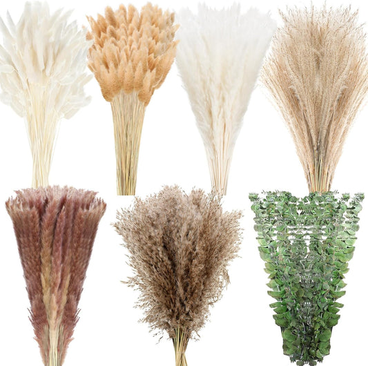 Treela 650 Pcs Dried Pampas Grass Decor Bulk 17" Dried Bunny Tail Fluffy Pompous Pampas Natural Reed Grass Bouquet Wedding Boho Dried Flowers for Home Table Party Decor(Stylish)