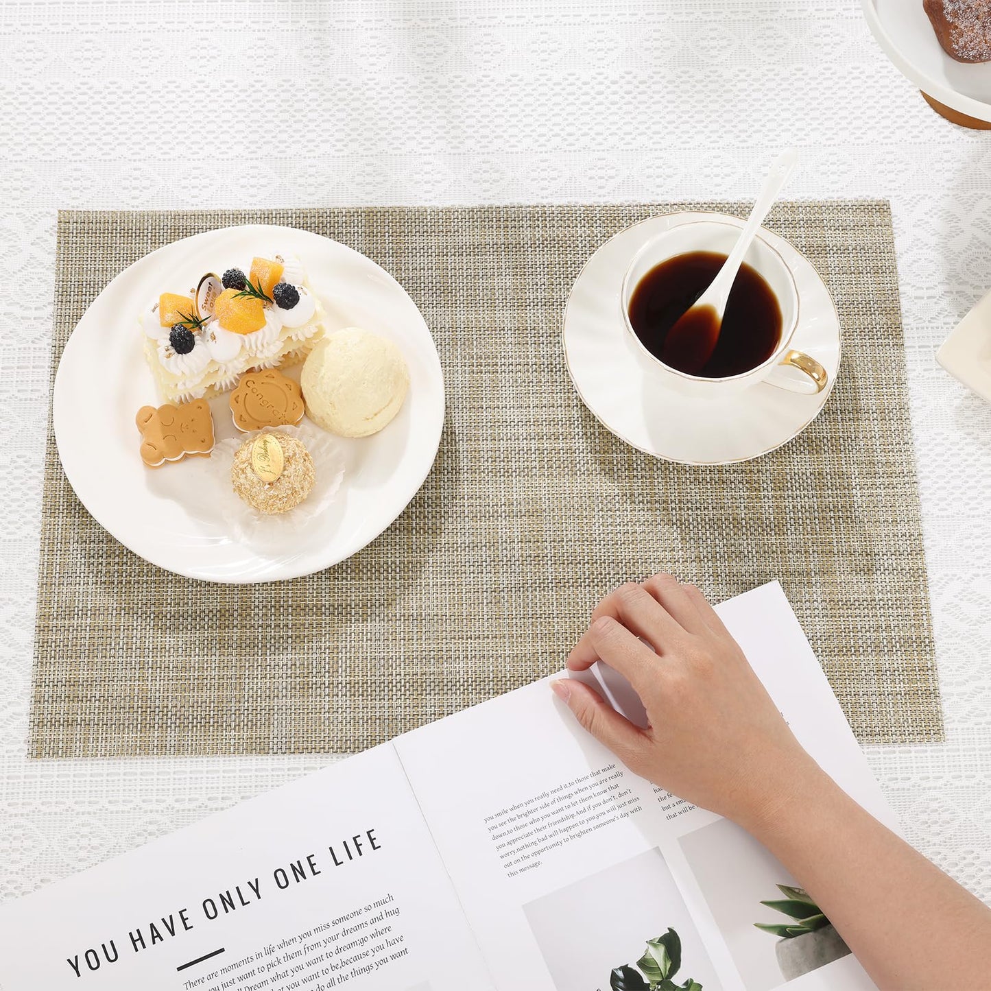 SHACOS Placemats Set of 6 Woven Vinyl Place Mats Wipeable Heat Resistant Stain Resistant Table Mats Indoor Outdoor, Beige
