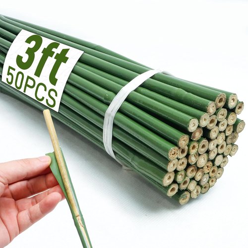 Bamboo Sticks | 50Pcs 3ft Natural Bamboo Poles - Durable Garden Stakes for Indoor & Outdoor Plants