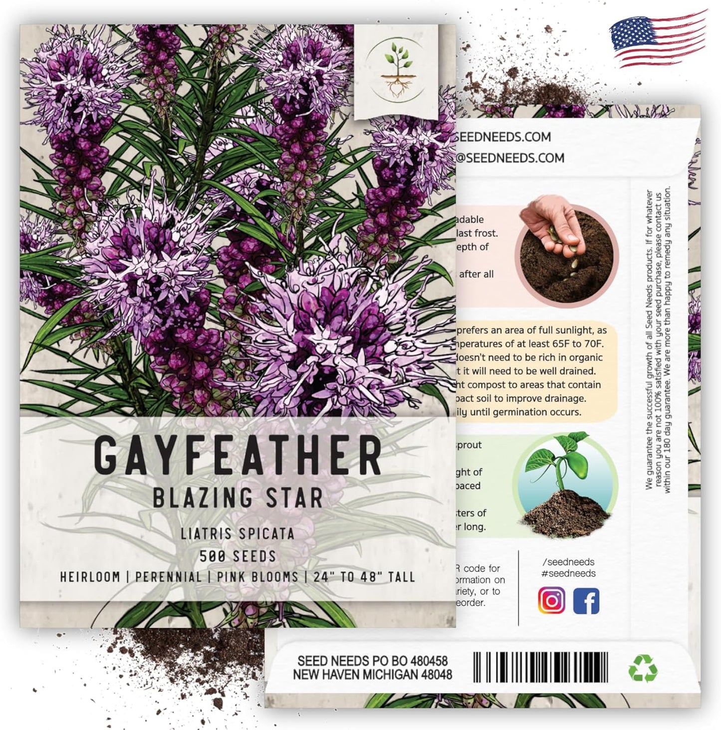 Seed Needs Gayfeather Seeds - 500 Heirloom Liatris Spicata Seeds for Pollinator-Friendly Gardens