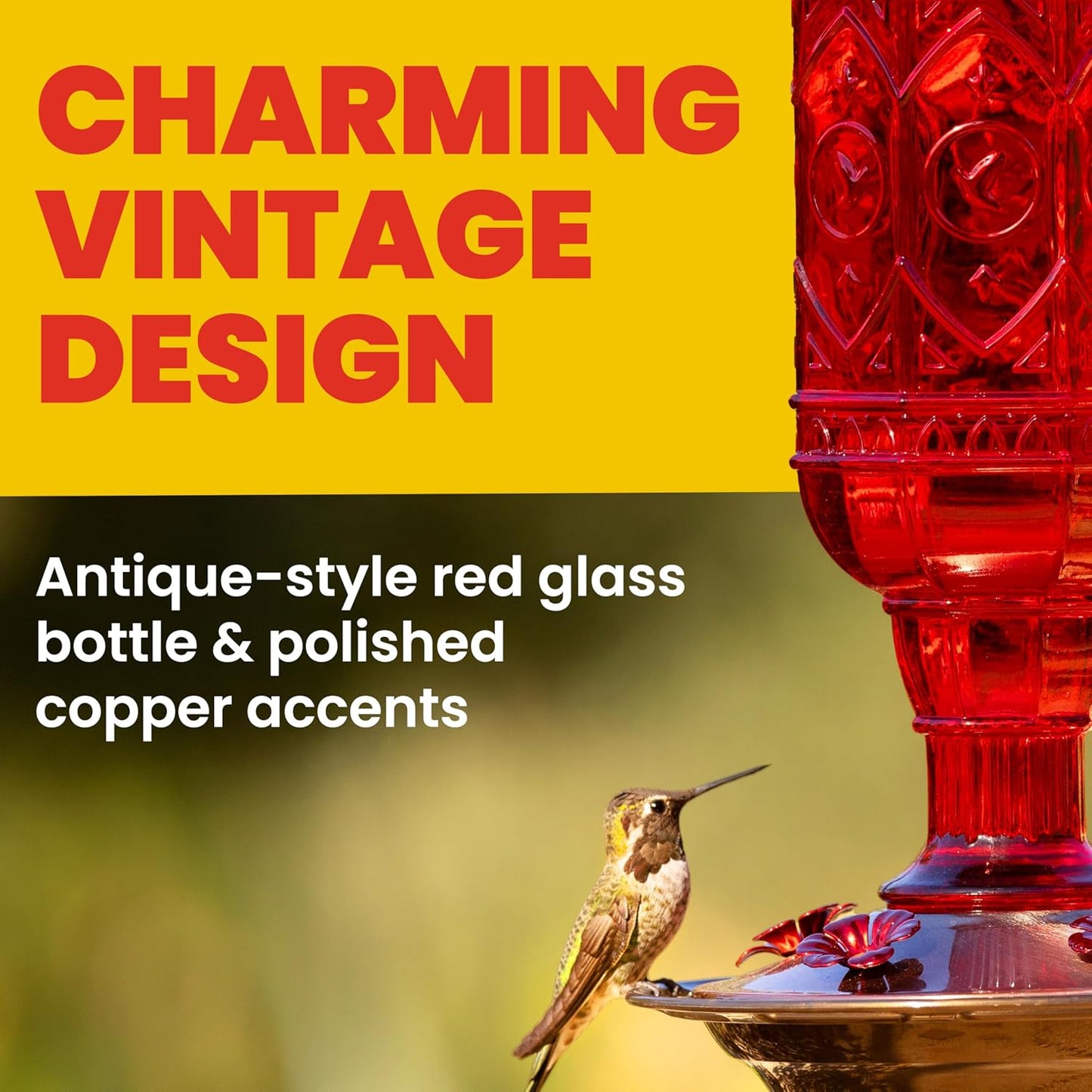 More Birds Red Jewel Hummingbird Feeder - Glass Bottle with 5 Feeding Ports & 20-Ounce Capacity