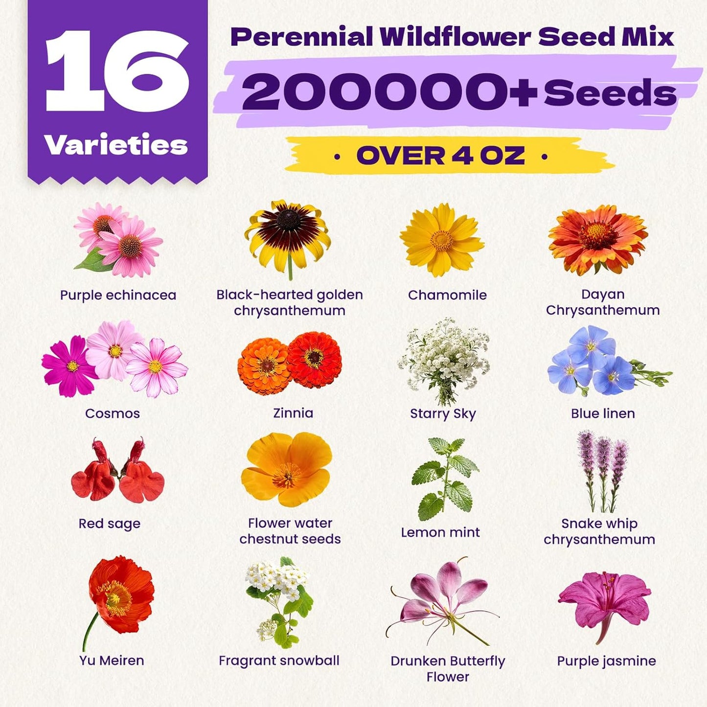 Wildflower Seeds Bulk by [Brand Name] - 200,000+ Non-GMO Heirloom Seeds Mix | 16 Varieties for Pollinator Garden