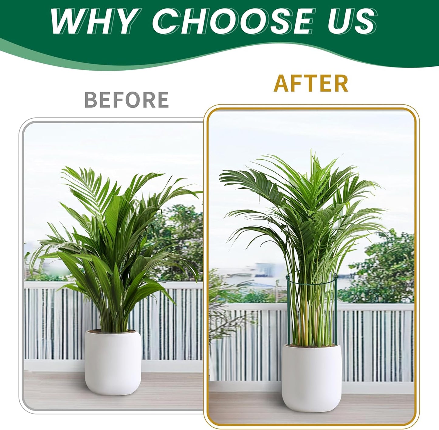 TCBWFY Plant Support Stakes - Heavy Duty 10-Pack Metal Cages for Peony | 10" Wide x 24" High