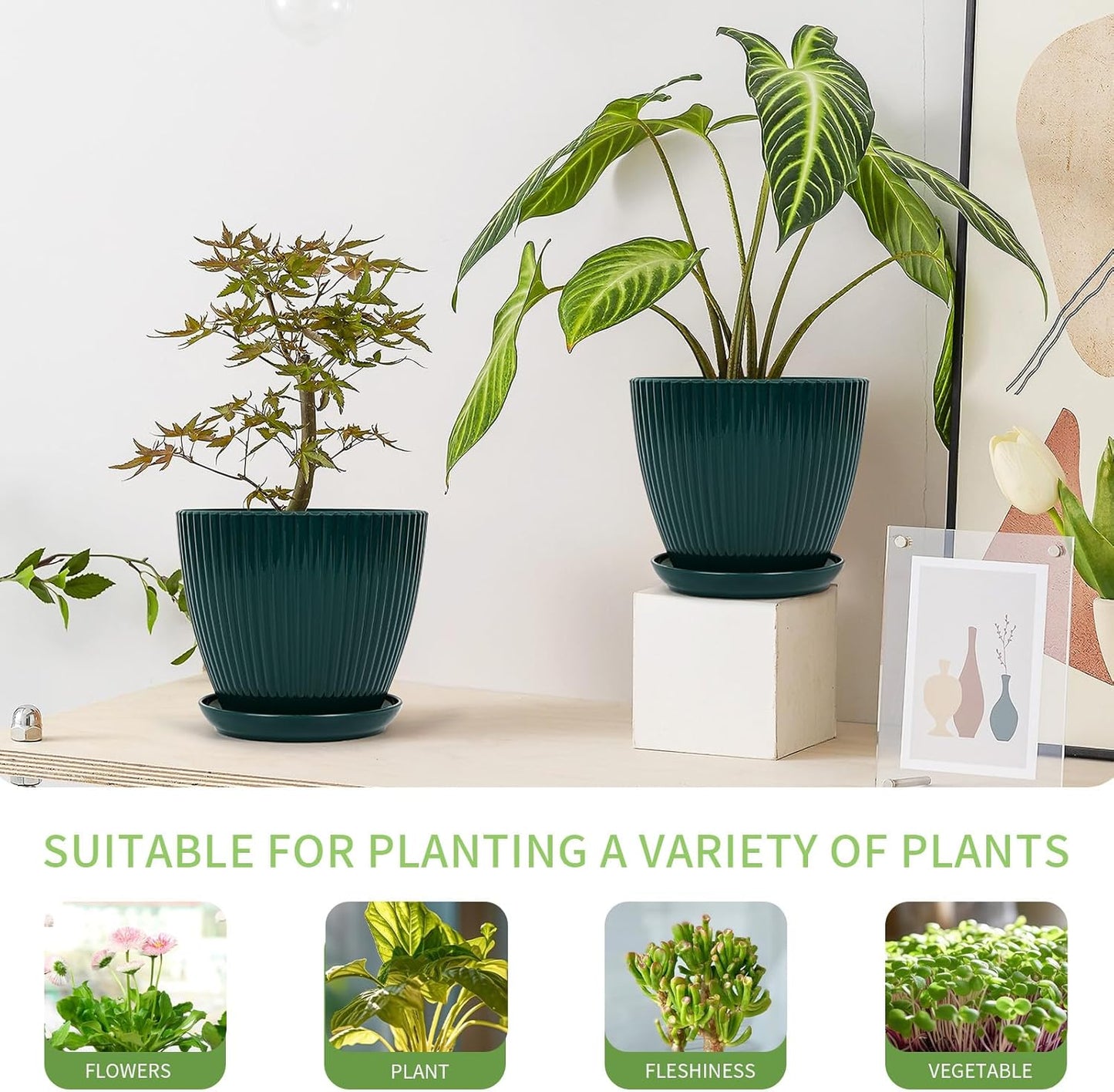 Skiennix Indoor Plant Pots - 6 Pack Plastic Planters with Saucers & Drainage - Dark Green, Various Sizes (3.5"-7.5")