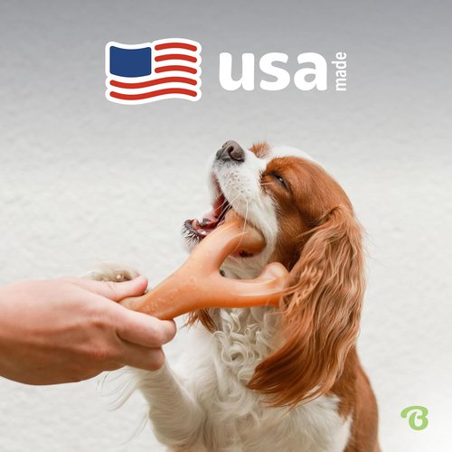 Benebone Wishbone Dog Chew Toy - Durable Real Bacon Flavor for Aggressive Chewers | Medium Size