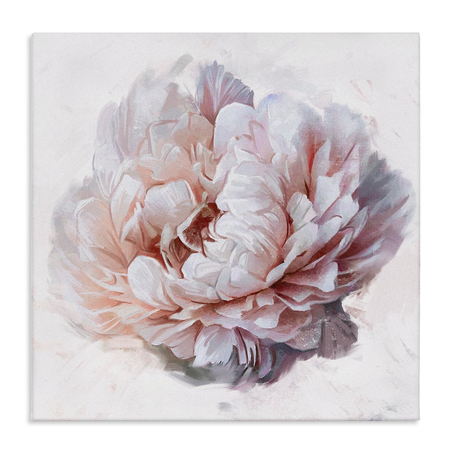 Stupell Industries 'Detailed Peony Petals', Canvas Art, 36 x 36 Inches, Easy to Hang and Sturdy, Made in USA, by Ziwei Li