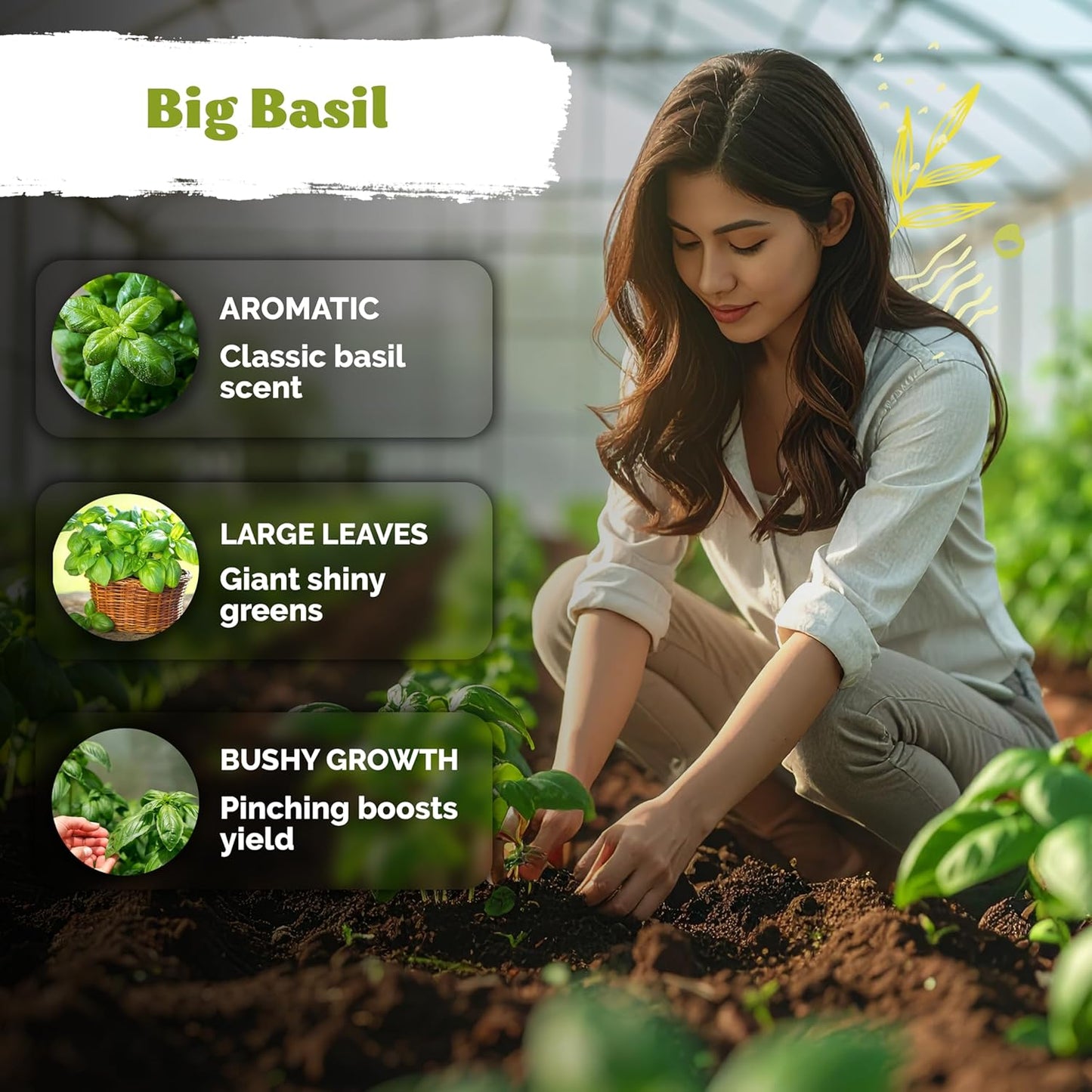 KVITER 2000 Italian Basil Seeds - Sweet Genovese Heirloom & Non-GMO for Indoor/Outdoor Gardens